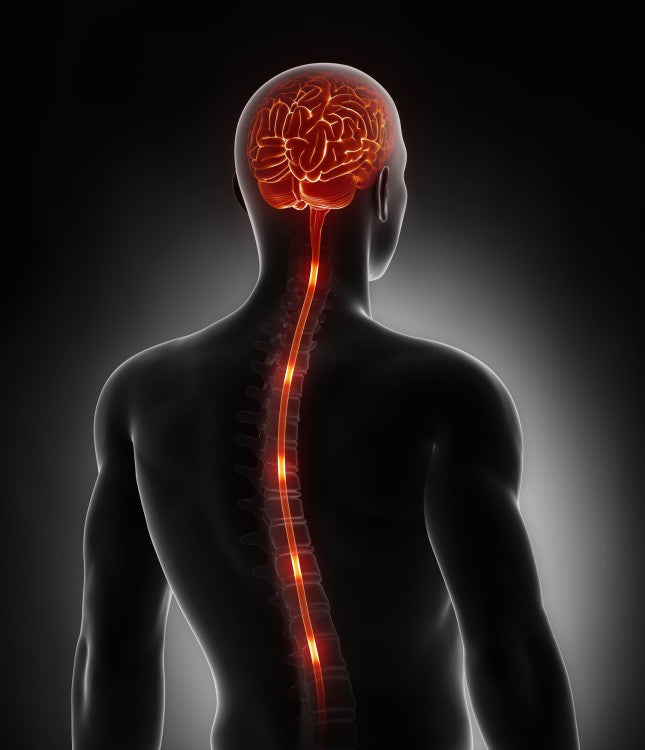 You Need To Read This!! Your Central Nervous System vs Golf Swing